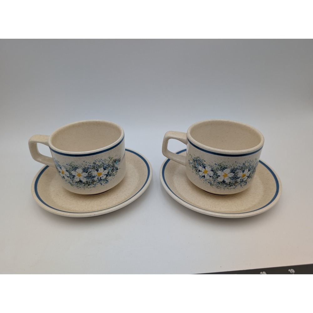Temper Ware by Lenox Dewdrops Coffee‎ Cup and Saucer Set of 2
